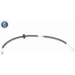 Vaico V10-4184 Bremsschlauch Q+, Erstausrüsterqualität
