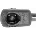 Gasfeder, Koffer-/Laderaum V46-0438