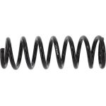 Fahrwerksfeder SP3829 Fahrwerksfeder SP3829