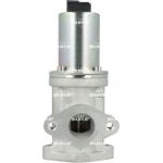 AGR-Ventil 48689 AGR-Ventil 48689