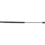Gasfeder, Koffer-/Laderaum V10-0241 Gasfeder, Koffer-/Laderaum V10-0241