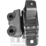 Tedgum 00219490 Lagerung, Motor