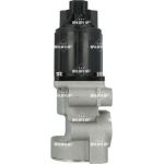 AGR-Ventil 48675 AGR-Ventil 48675