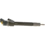 BOSCH 0 445 110 195 Einspritzdüse BOSCH 0 445 110 195 Einspritzdüse