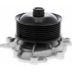 Vaico V30-50060 Wasserpumpe