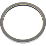Dichtring 12001924B Dichtring 12001924B