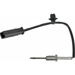 Sensor, Abgastemperatur 0894650