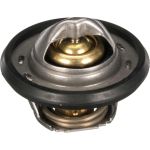 Thermostat, Kühlmittel TH64978G1