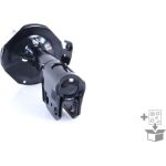 Monroe G8092 Stoßdämpfer ORIGINAL (Gas Technology) Monroe G8092 Stoßdämpfer ORIGINAL (Gas Technology)