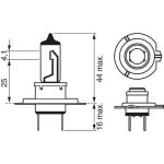 Glühlampe, Fernscheinwerfer 1 987 302 079 Glühlampe, Fernscheinwerfer 1 987 302 079