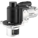 Wahler 710572D AGR-Ventil