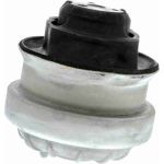 Vaico V30-1100 Lagerung, Motor