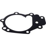 Valeo 506055 Wasserpumpe