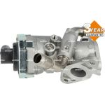 AGR-Ventil 48376 AGR-Ventil 48376