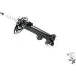 Stoßdämpfer C2509L Stoßdämpfer C2509L
