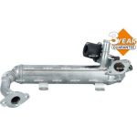 NRF 48306 AGR-Modul mit AGR Ventil