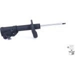 Stoßdämpfer G8169 Stoßdämpfer G8169