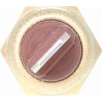 Sensor, Kühlmitteltemperatur V37-72-0002
