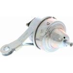 Vaico V20-1559 Lagerung, Motor