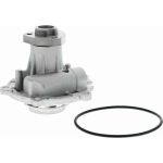 Vaico V10-50009 Wasserpumpe Green Mobility Parts Vaico V10-50009 Wasserpumpe Green Mobility Parts