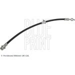 Blue Print ADBP530077 Bremsschlauch