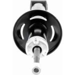 Stoßdämpfer V10-4979 Stoßdämpfer V10-4979