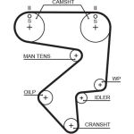 Gates T125RB Zahnriemen RPM Racing Timing Belt Gates T125RB Zahnriemen RPM Racing Timing Belt