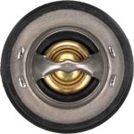 Thermostat, Kühlmittel TH64978G1