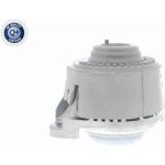 Vaico V30-0036 Lagerung, Motor Q+, Erstausrüsterqualität Vaico V30-0036 Lagerung, Motor Q+, Erstausrüsterqualität