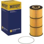 Ölfilter E510H07 D129