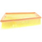 Vaico V46-0079 Luftfilter Vaico V46-0079 Luftfilter