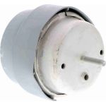 Vaico V10-2960 Lagerung, Motor