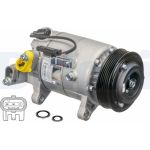 Delphi CS20500 Kompressor, Klimaanlage