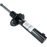 Stoßdämpfer 315 091