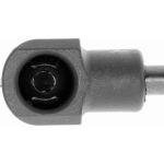 Gasfeder, Koffer-/Laderaum V42-0252
