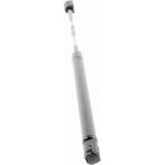 Gasfeder, Koffer-/Laderaum V22-0211