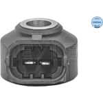 Klopfsensor 214 811 0005