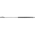 Gasfeder, Koffer-/Laderaum V10-0243