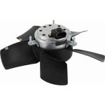 Vemo V40-01-1031 Lüfter, Motorkühlung