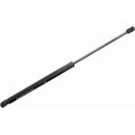 Gasfeder, Koffer-/Laderaum V10-1953 Gasfeder, Koffer-/Laderaum V10-1953
