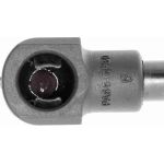 Vaico V30-2073 Gasfeder, Kofferraum/Laderaum