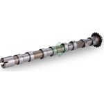INA 428 0189 10 Nockenwelle INA 428 0189 10 Nockenwelle