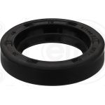 Dichtring 038.938