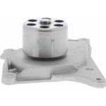Vaico V46-50019 Wasserpumpe Green Mobility Parts Vaico V46-50019 Wasserpumpe Green Mobility Parts