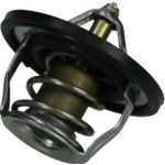 Thermostat, Kühlmittel 67-0096 Thermostat, Kühlmittel 67-0096