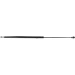 Gasfeder, Koffer-/Laderaum V46-0397