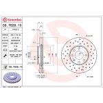 Bremsscheibe 09.7628.1X
