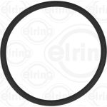 Dichtring 789.970 Dichtring 789.970