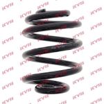 Fahrwerksfeder RX5556 Fahrwerksfeder RX5556