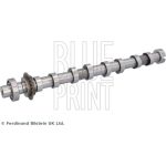 Blue Print ADBP610408 Nockenwelle Blue Print ADBP610408 Nockenwelle